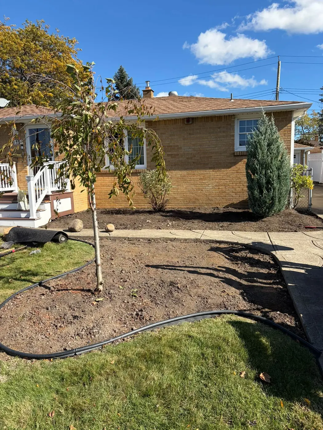 Fresh mulch bed with clean edging around a young tree, a Stone Mountain Lawn Care job