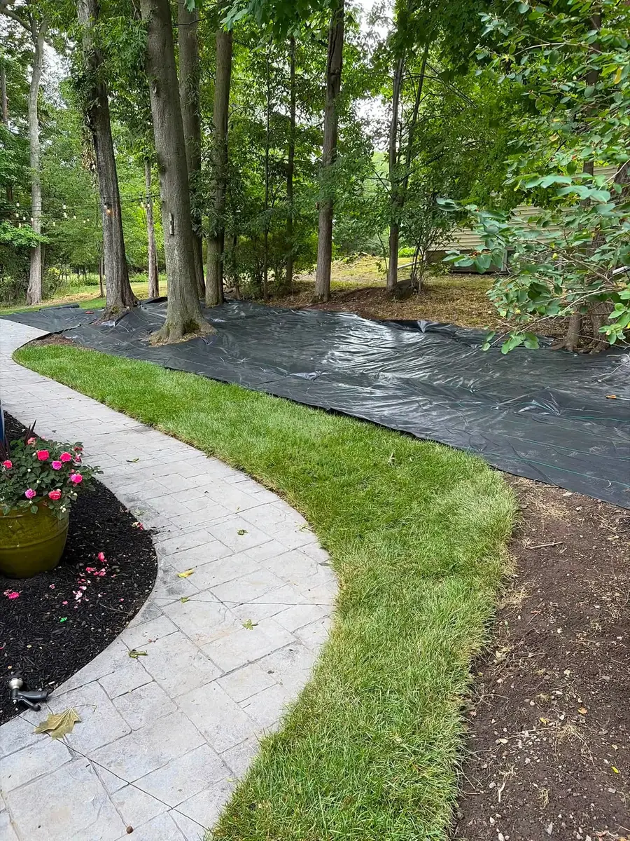 Paver walkway with fresh sod on both sides, a Stone Mountain Lawn Care job