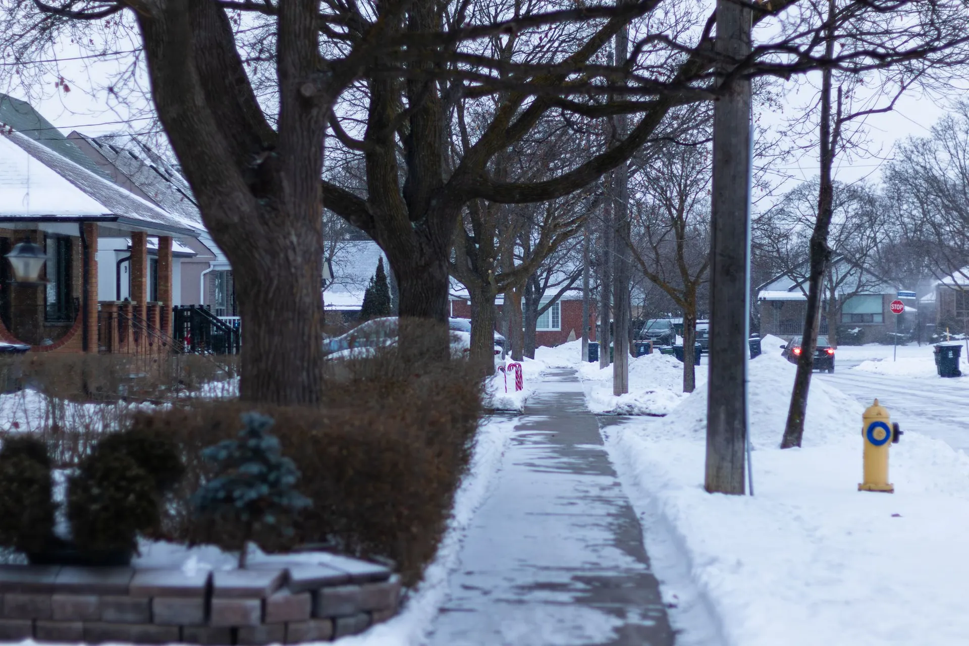 Cleared sidewalk past snow-covered homes on a residential street